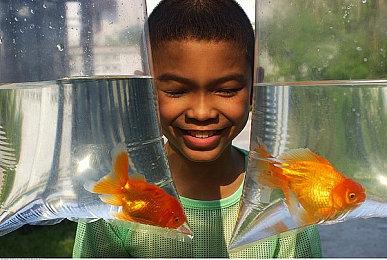 PS+会免版《往日不再》无法花费10美元升级 想玩得全价买